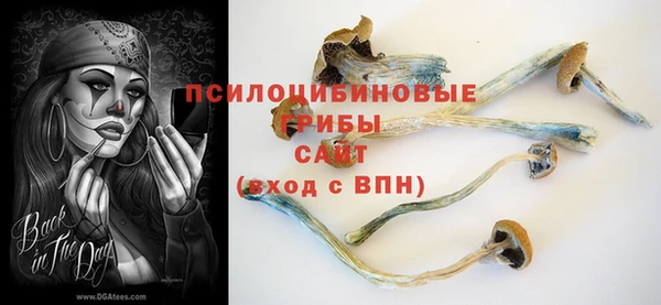мдма Богданович