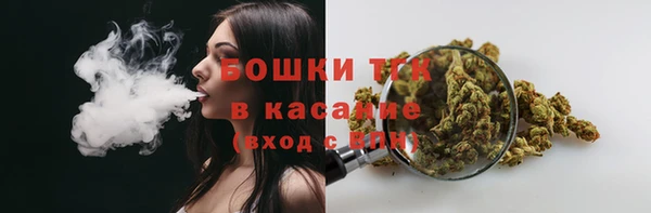 молекула духа Богородск