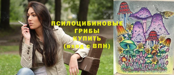 молекула духа Богородск