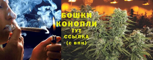 спиды Богородицк