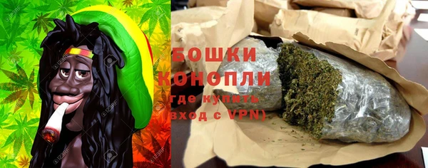 молекула духа Богородск
