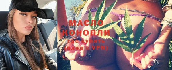 молекула духа Богородск