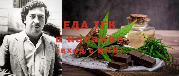 спиды Богородицк