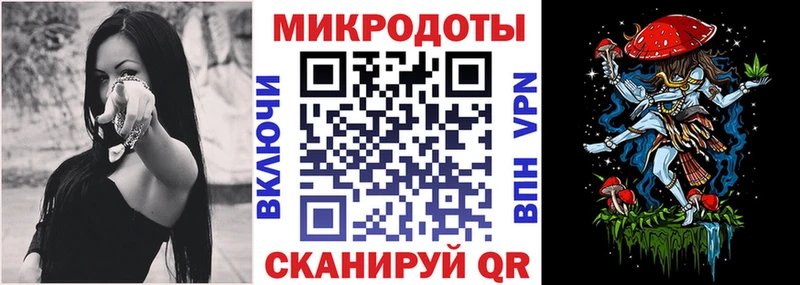 продажа наркотиков  omg ONION  Галлюциногенные грибы Psilocybe  Мончегорск 